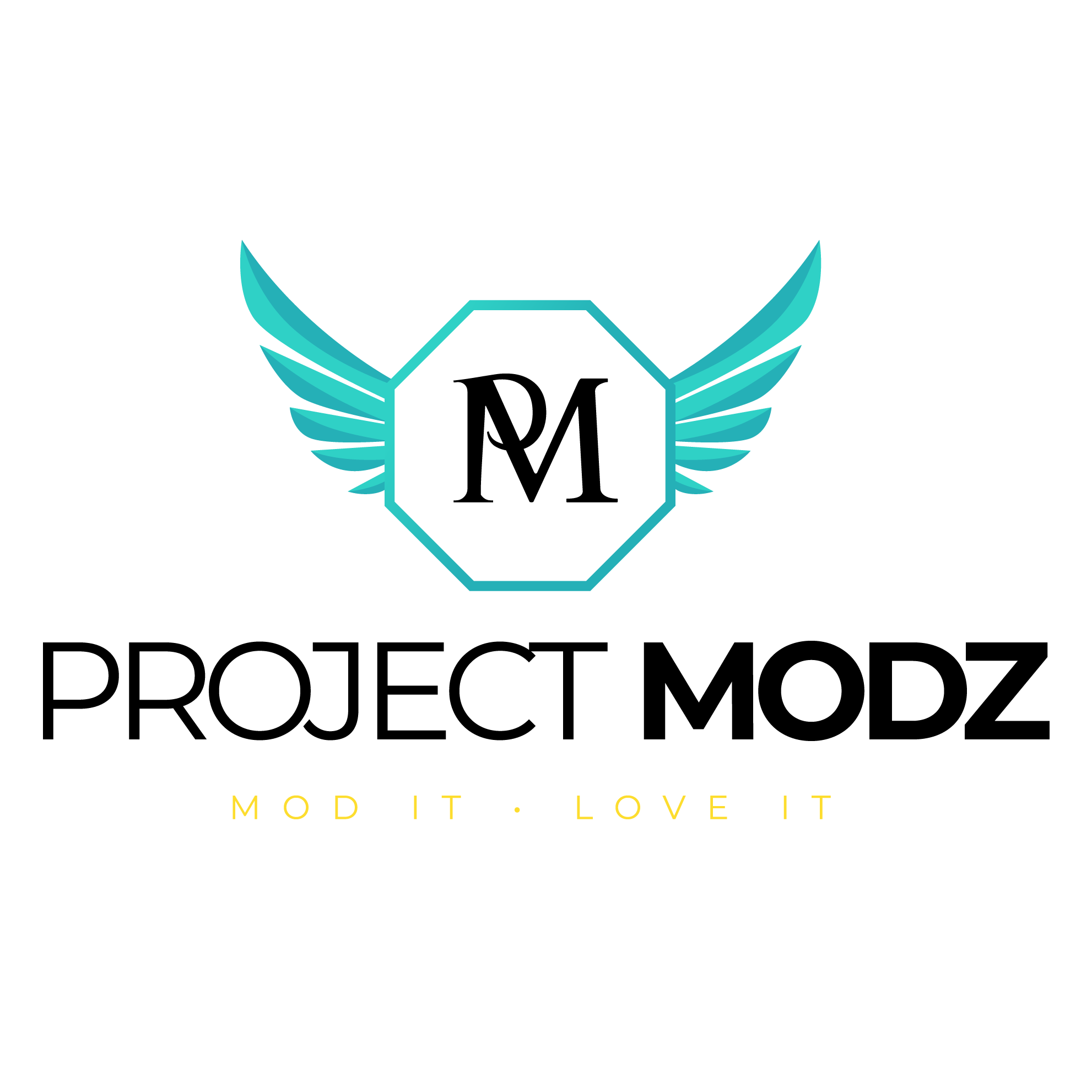 PROJECT MODZ